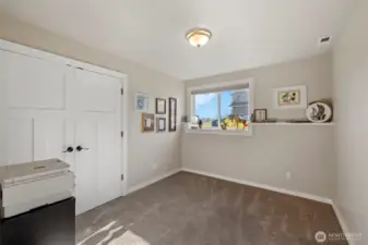 Lower level guest room.