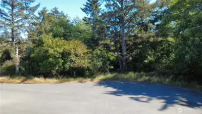 Front of the lot from cul de sac