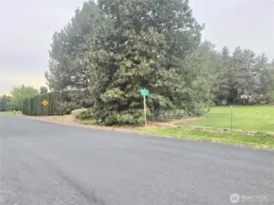 Tree lined streets coming in to Diamond Point neighborhood