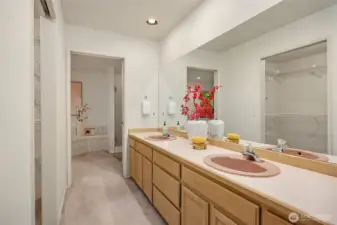 Master bathroom and walk-in closet.