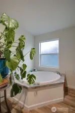Primary Bath tub