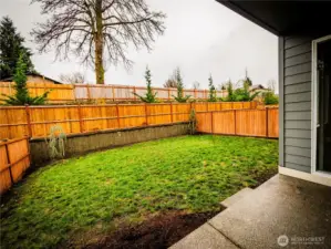 SUPRISINGLY SPACIOUS AND PRIVATE BACK YARD...FULLY FENCED