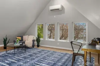 Multi-function bedroom.