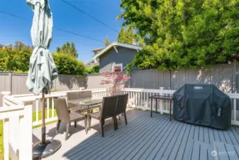 This back yard is completely fenced and private.  The deck is just off the family room and kitchen for easy access when BBQing and entertaining.  It is plumbed for gas, and also has a section that can be gated as a dog run on the side.
