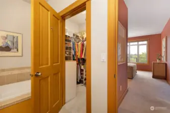 primary bedroom & bathroom with walkin closet