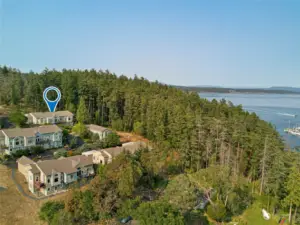 Harbor Hill Condominium Complex is adjacent to the forested UW Marine Biology Labs property.