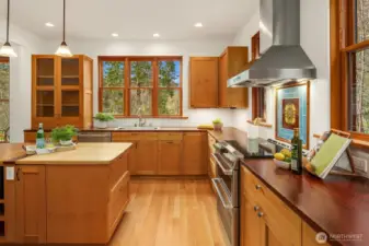 Open and spacious kitchen with Sapele (African hardwood similar to Mahogany) counters, maple slab island, alder cabinets.