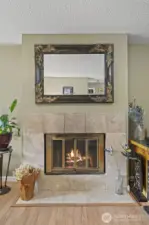 Gas Fireplace in Living Room