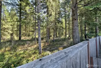 Backs up to a green belt!  Great privacy here!