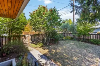 Private fenced front yard with mature landscaping, offering a peaceful enterance to the home.