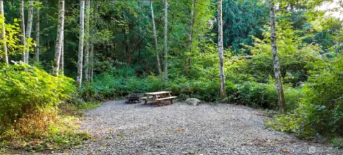 Nine fully dedicated camp sites
