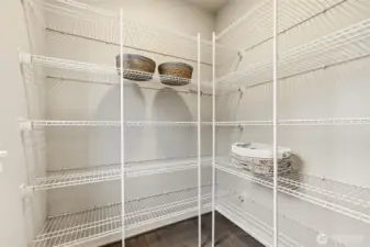 Walk-in pantry providing excellent storage and organization