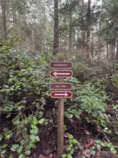 Juggernaut Orca View