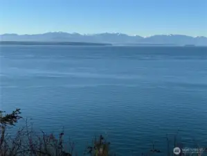 Olympics from Orca View 2