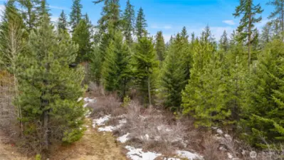 Backing up to open space, this homesite enjoys a sense of seclusion while still being close to the heart of the community.