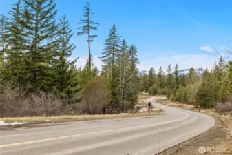 Outside of Suncadia, quick access to wilderness without a long drive. Nearby attractions, Roslyn, Salmon La Sac, Lake Cle Elum, and the Yakima River, for all your outdoor fun!