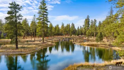 Nelson Lakes offers a tranquil natural setting just moments from Lot 61.