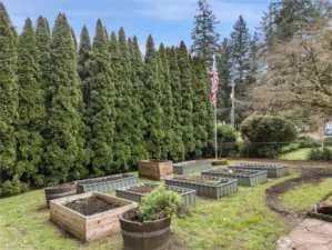 Front yard with raised garden beds.