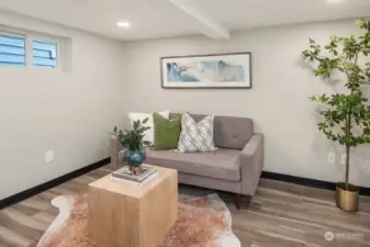 Lower floor living room