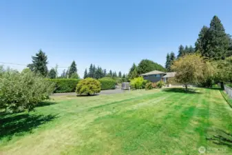 Gorgeous back yard! Grass is lightly enhanced.