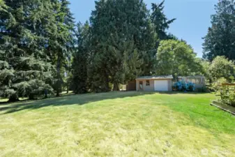Plenty of room to play football in this yard!