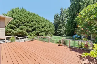 Big deck!