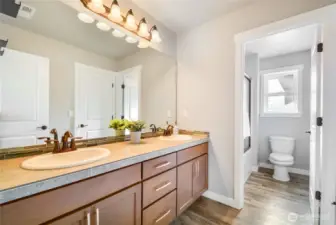 jack & jill bathroom