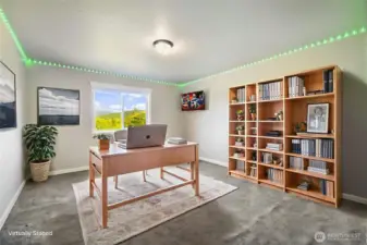 Lower level bedroom (or office, or ?)