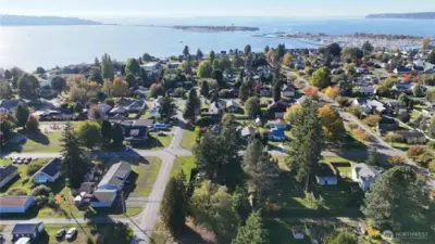 Property is in lower center of photo with the tall trees