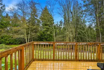 Large back deck overlooking the expansive yard and surrounding greenery.