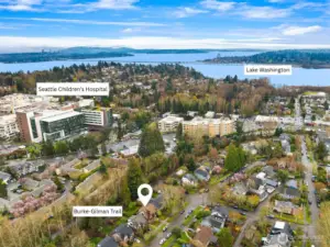 Aerial view facing Northeast showing close access to the Burke- Gilman Trail, Seattle Children's, and Lake Washington.