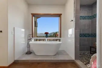 Soaking tub and lare walk-in Shower complete the Primary Suite