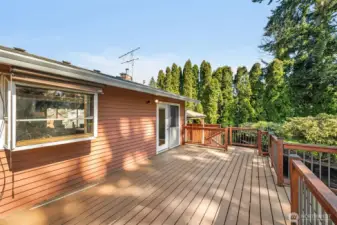 Huge entertainment sized deck