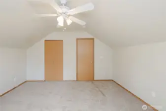 Entry and closet doors.