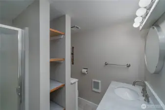 Lower level bathroom