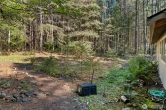 Side Yard