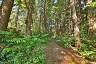 About half of the land is wooded
