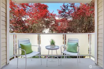 Private Northern facing balcony with frosted glass overlooking the back courtyard.