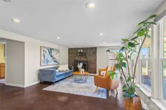 Lower level family room