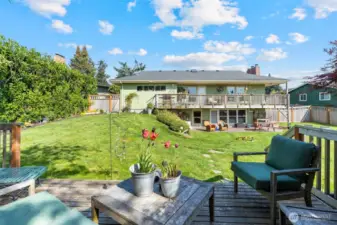 Backyard studio deck