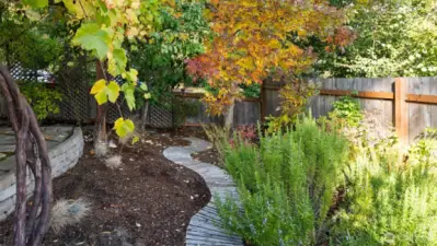 This beautiful rosemary bush hugs the enchanted plank path with fragrant greenery at every turn. A little trim here and there, and you’ve got the perfect garnish for your next meal - fresh from your own yard!
