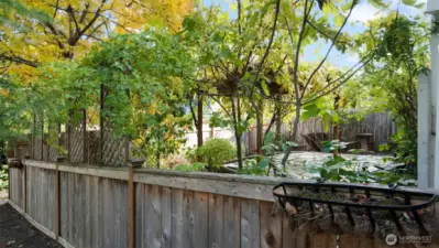 Backyard paradise found! A perfect blend of beauty and tranquility, this outdoor space invites you to kick back, breathe deep, and enjoy every beautiful moment.