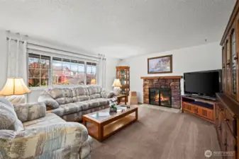 Wood burning fireplace