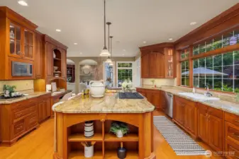 The Chefs Kitchen — Luxury Level Appliances Through Out