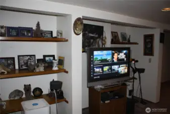 Basement Living Room