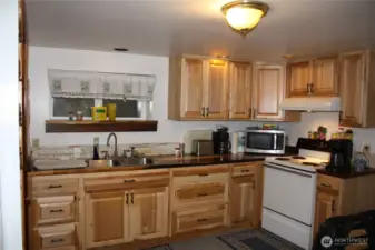 Basement Kitchen