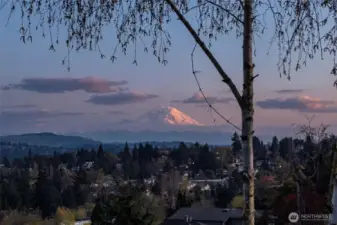 WOW, the mountain is out!