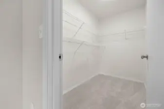 generous walk-in closet.