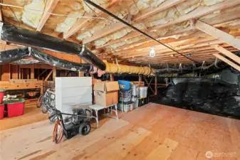 The unfinished lower level has endless possibilities and more than enough storage space.