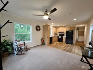 Open plan Living Room, Dining & Kitchen